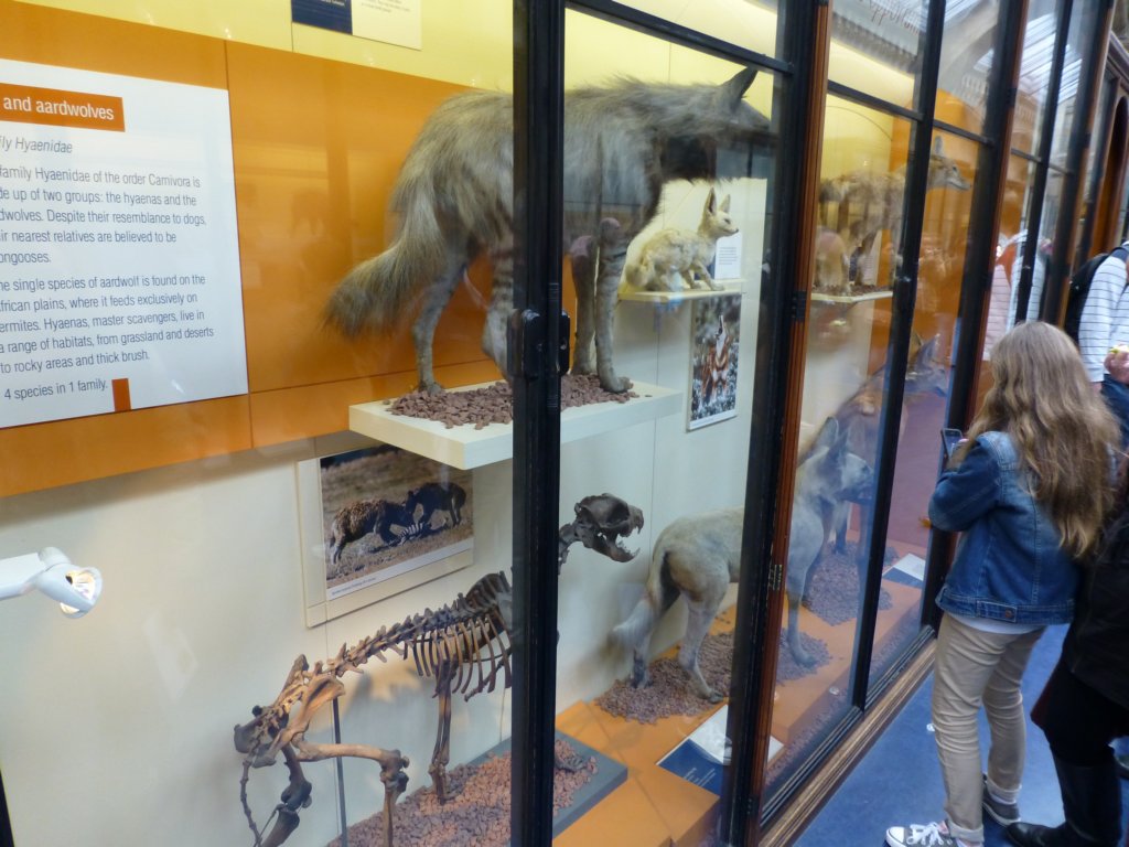 photo35.jpg