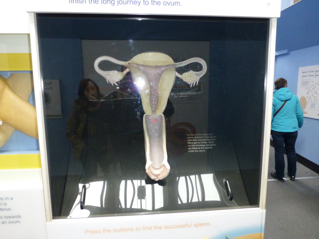 photo43.jpg