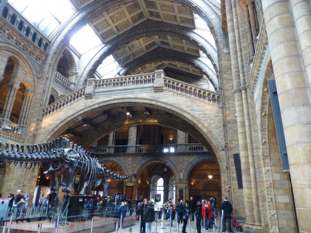 photo9.jpg
