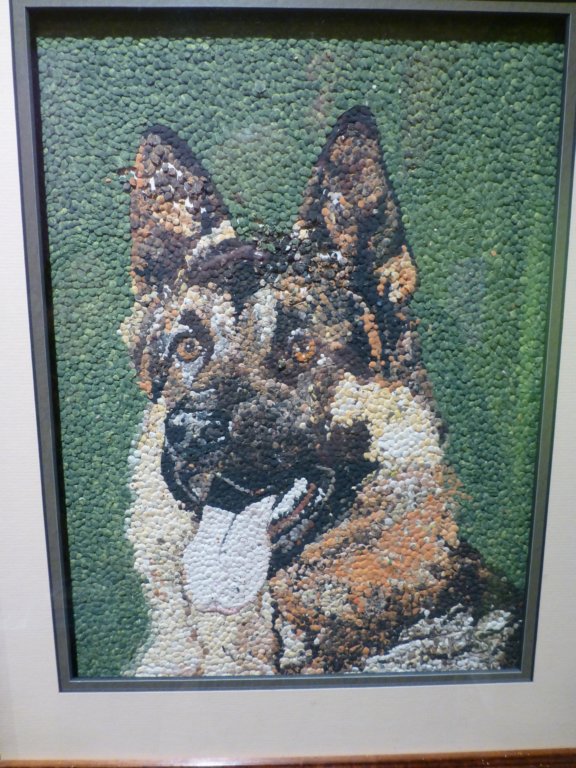 photo17.jpg