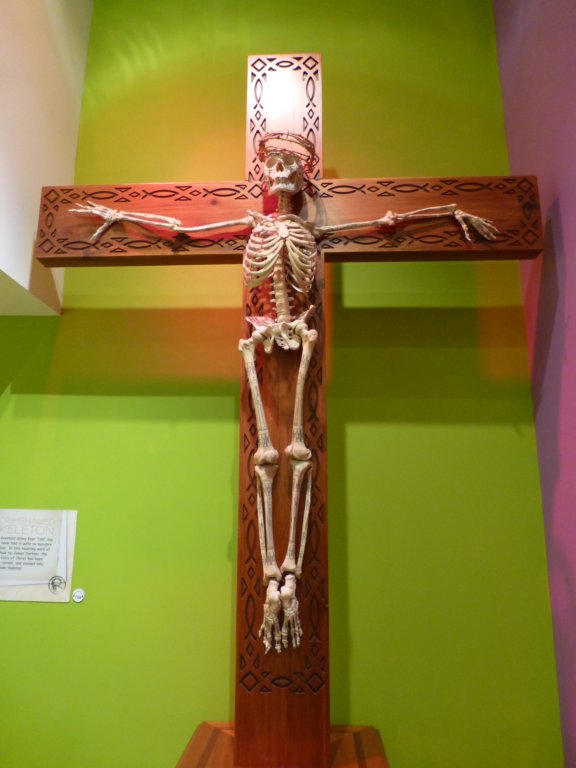 ripleysbelieveitornot19.jpg