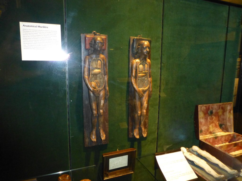 photo12.jpg