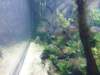 sealifelondonaquarium40_small.jpg