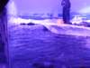sealifelondonaquarium54_small.jpg