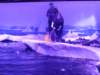 sealifelondonaquarium56_small.jpg