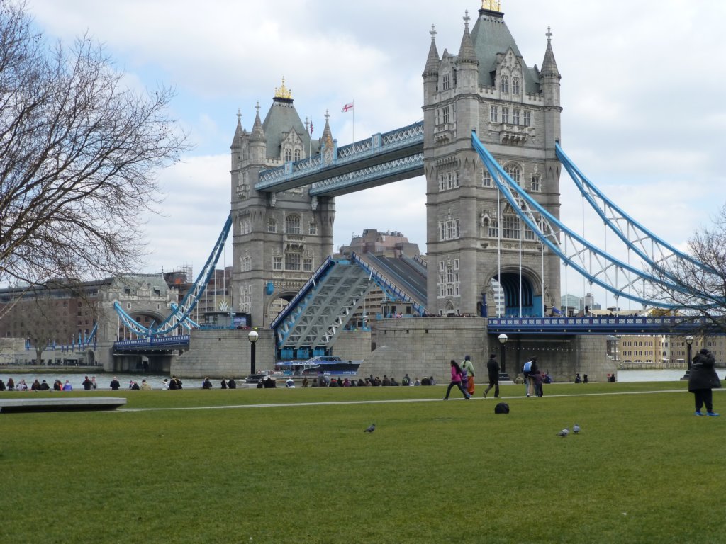 photo.jpg