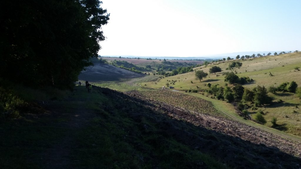 photo10.jpg