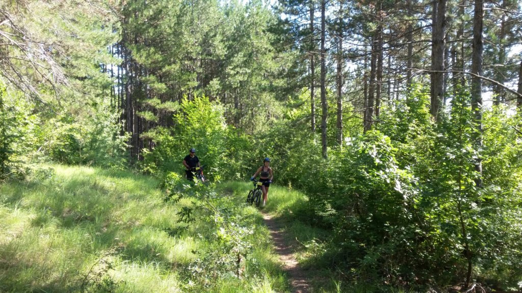 photo26.jpg