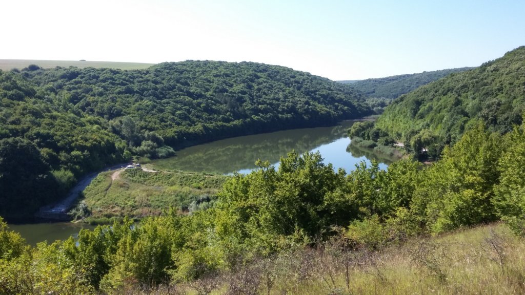 photo27.jpg
