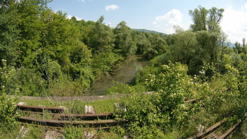 photo17.jpg