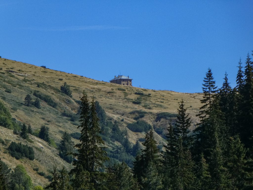 photo4.jpg