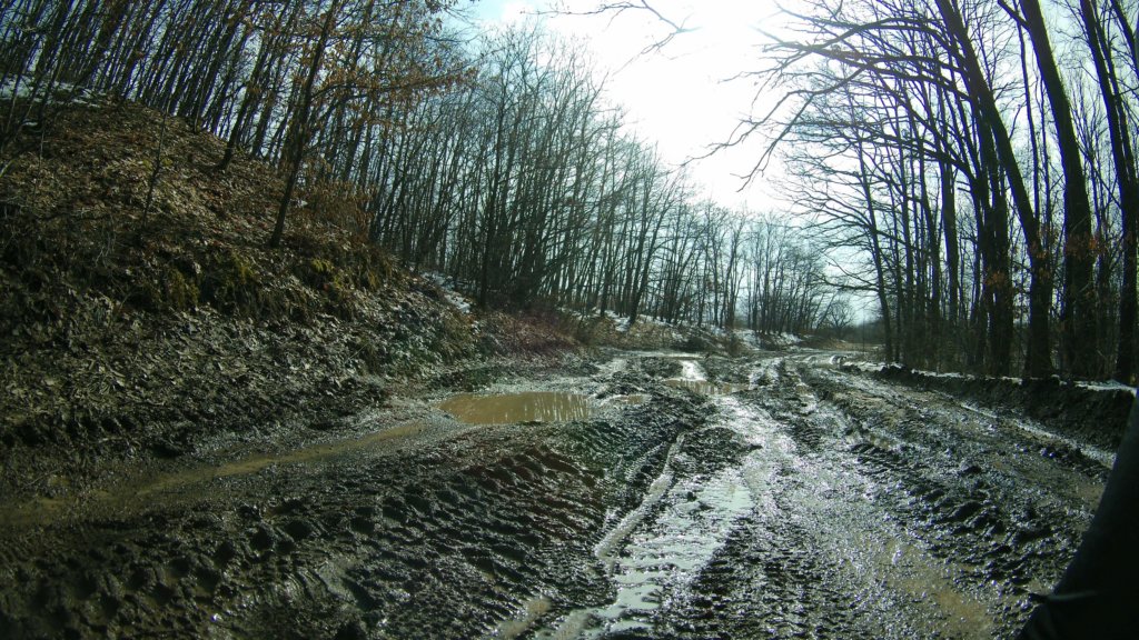 photo11.jpg