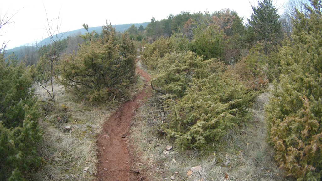 photo25.jpg