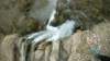 photo30_small.jpg