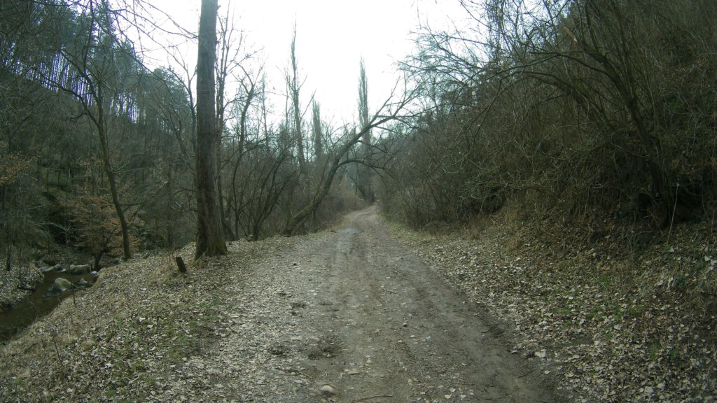 photo31.jpg
