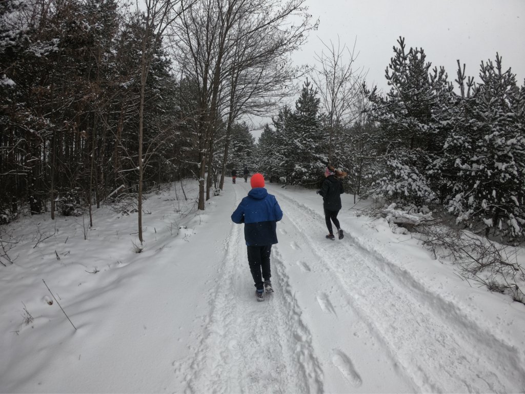 photo17.jpg