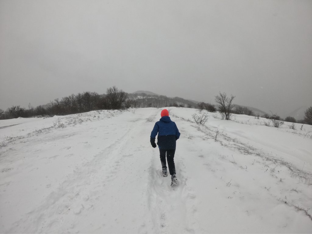 photo21.jpg
