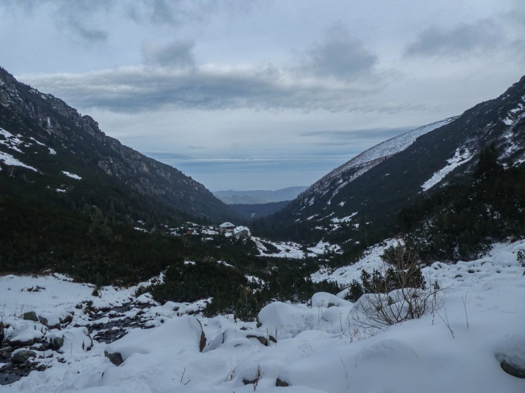 photo5.jpg