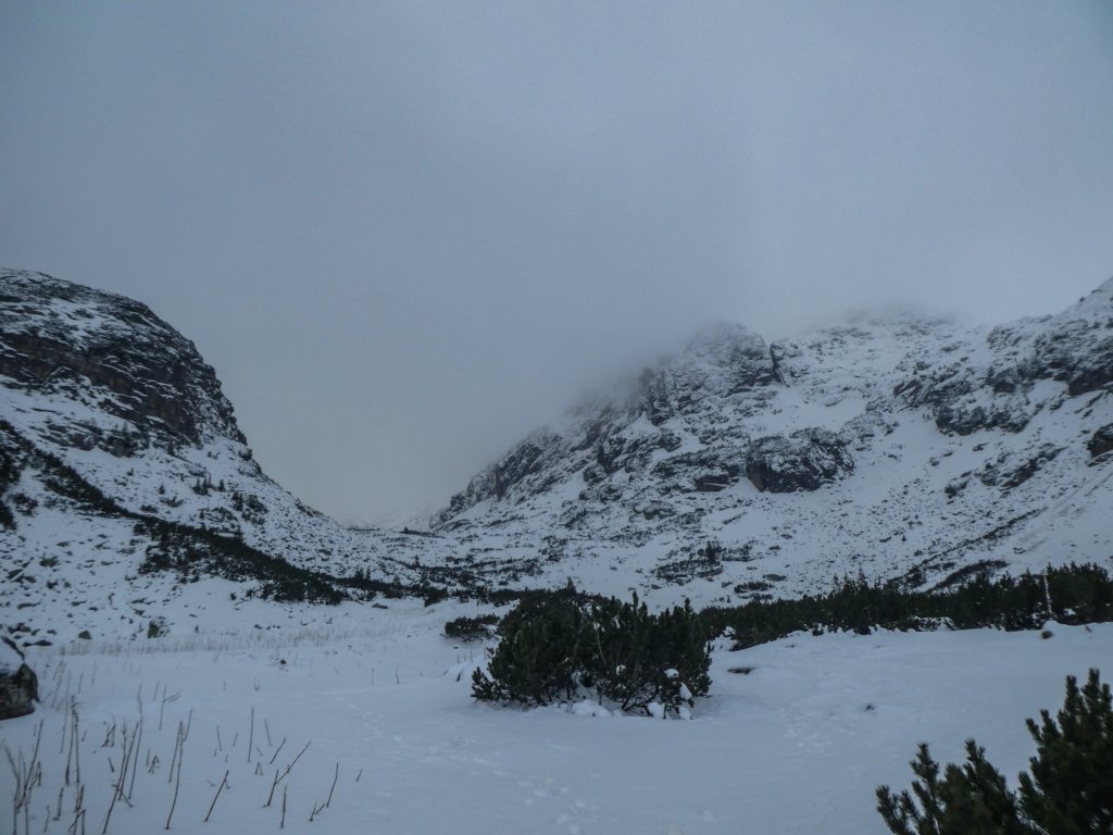 photo9.jpg