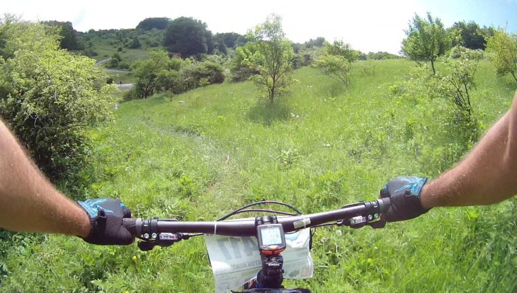 photo36.jpg
