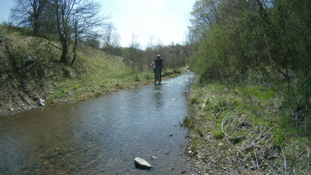 photo62.jpg