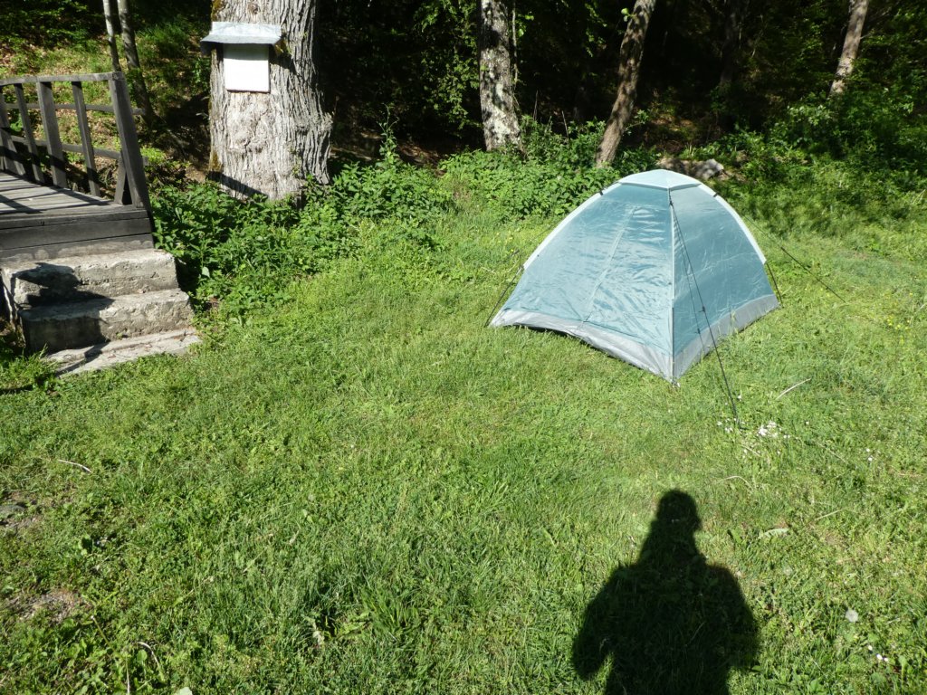 photo31.jpg