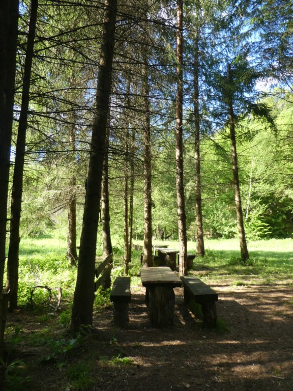 photo32.jpg