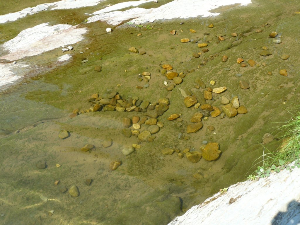 p1120410.jpg