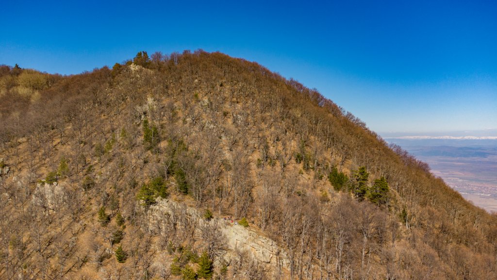 photo10.jpg