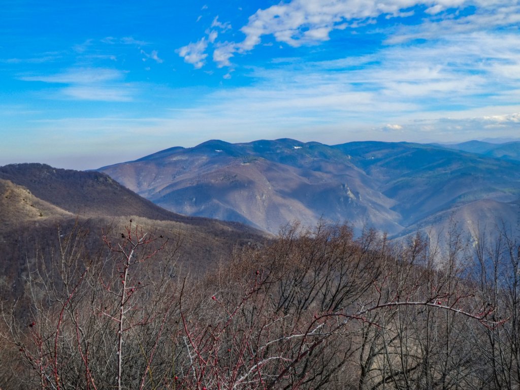 photo39.jpg