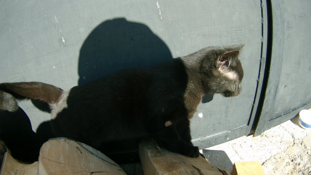 photo104.jpg