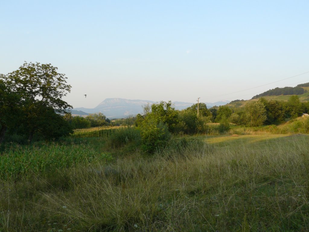 photo19.jpg