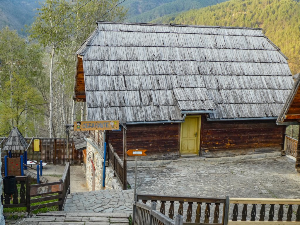 photo100.jpg
