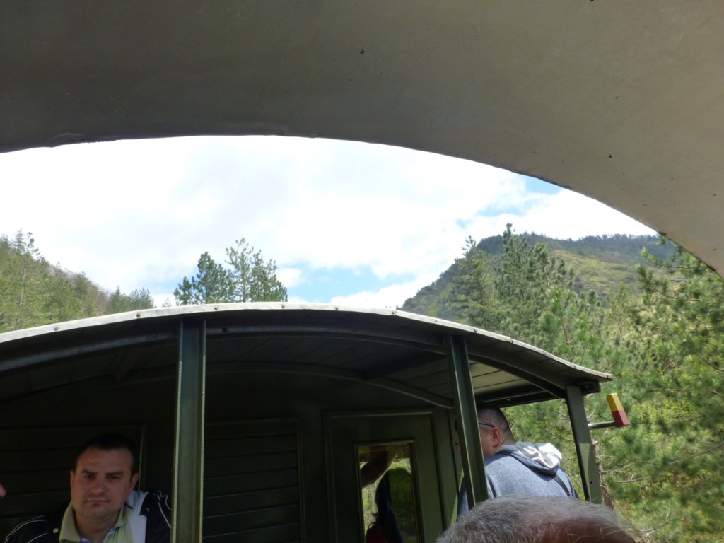 photo33.jpg