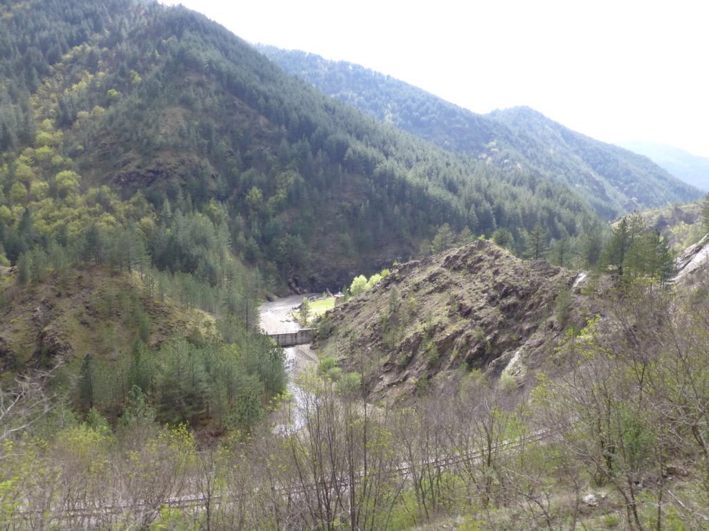 photo85.jpg