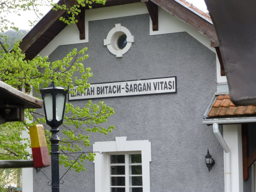 sarganvitasi6.jpg