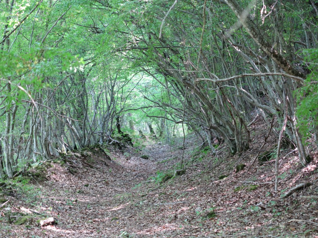 photo5.jpg