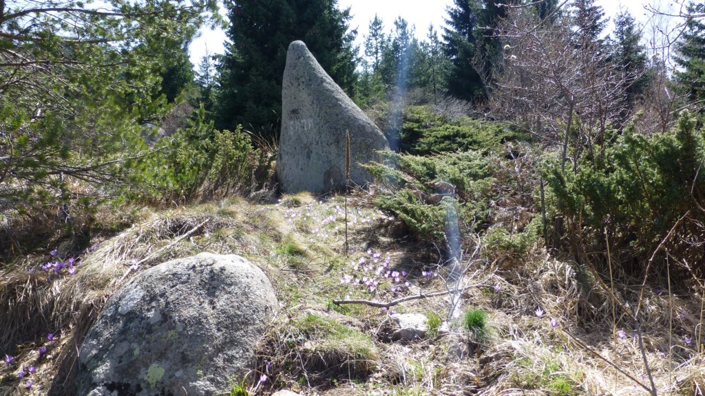 photo15.jpg