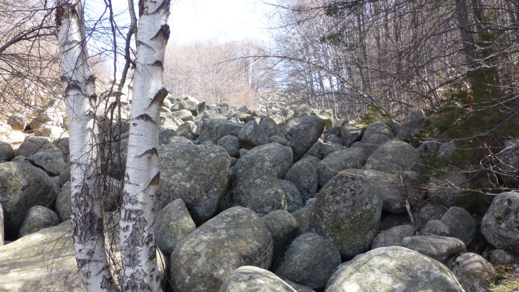 photo8.jpg