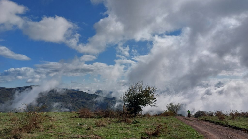 photo4.jpg