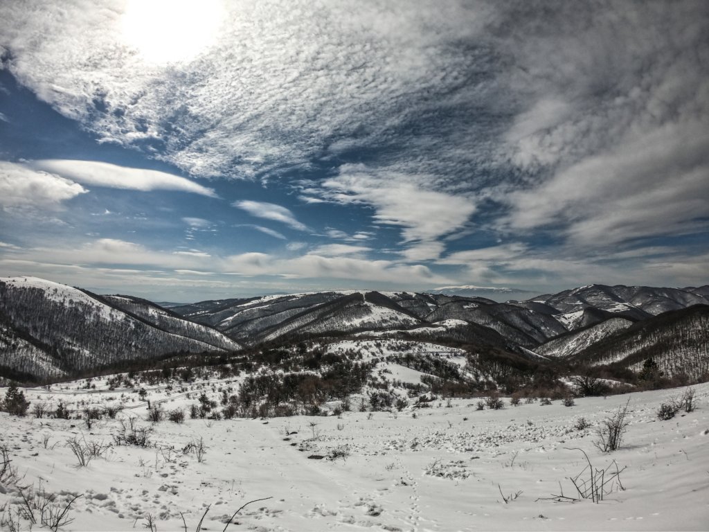 photo9.jpg