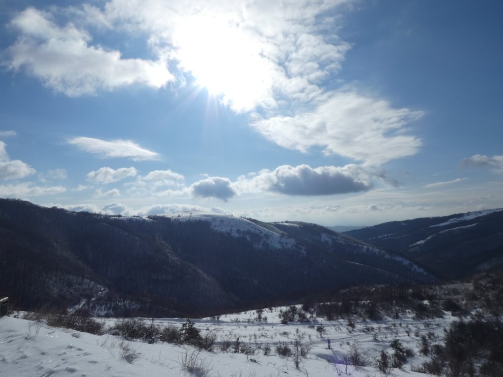 photo17.jpg