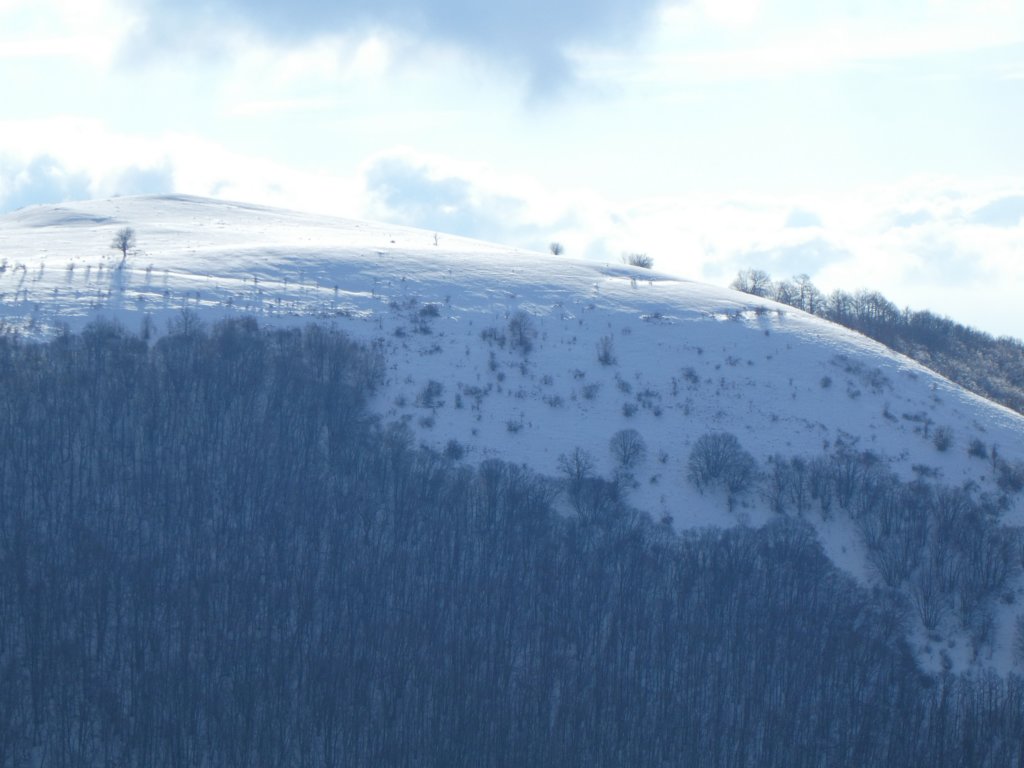 photo18.jpg