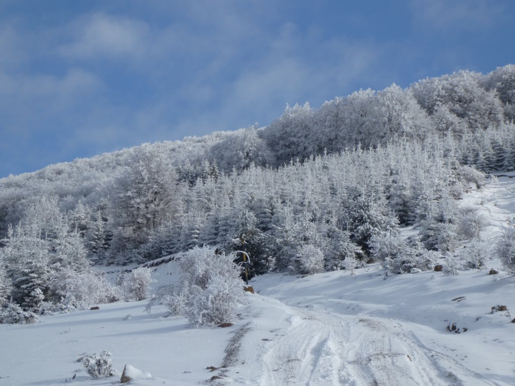photo25.jpg
