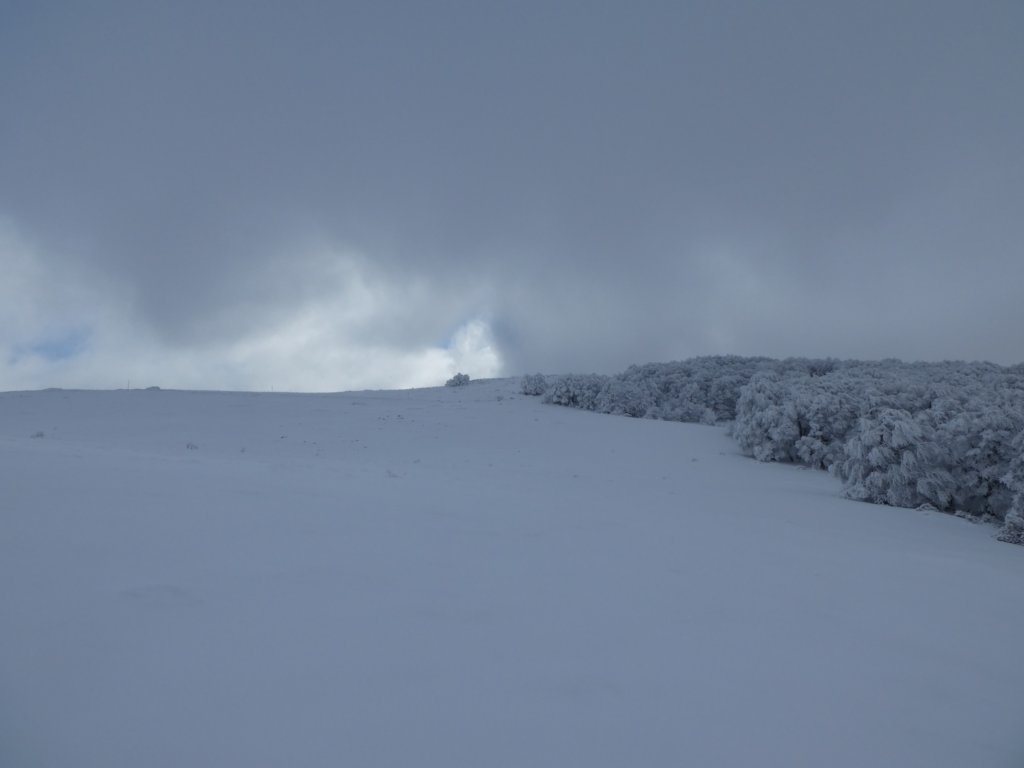 photo30.jpg