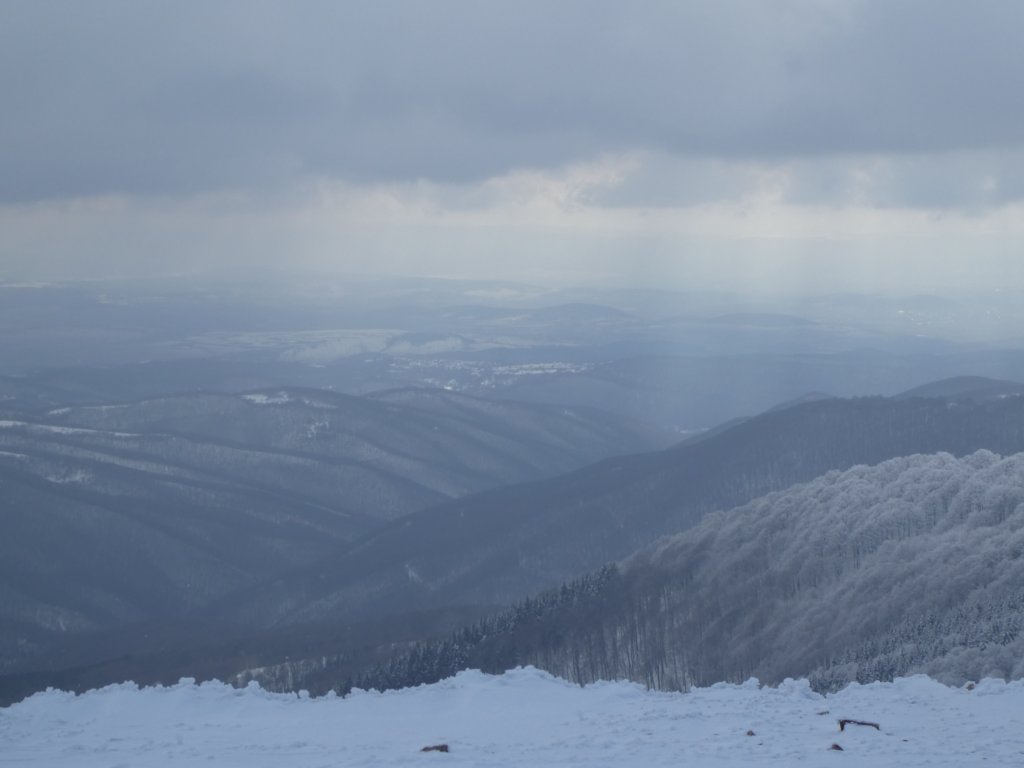 photo42.jpg