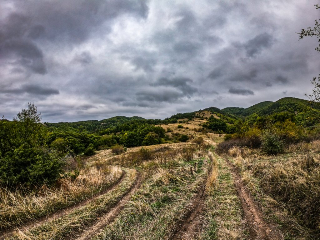 photo4.jpg