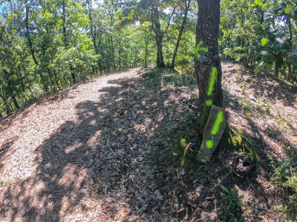 photo37.jpg