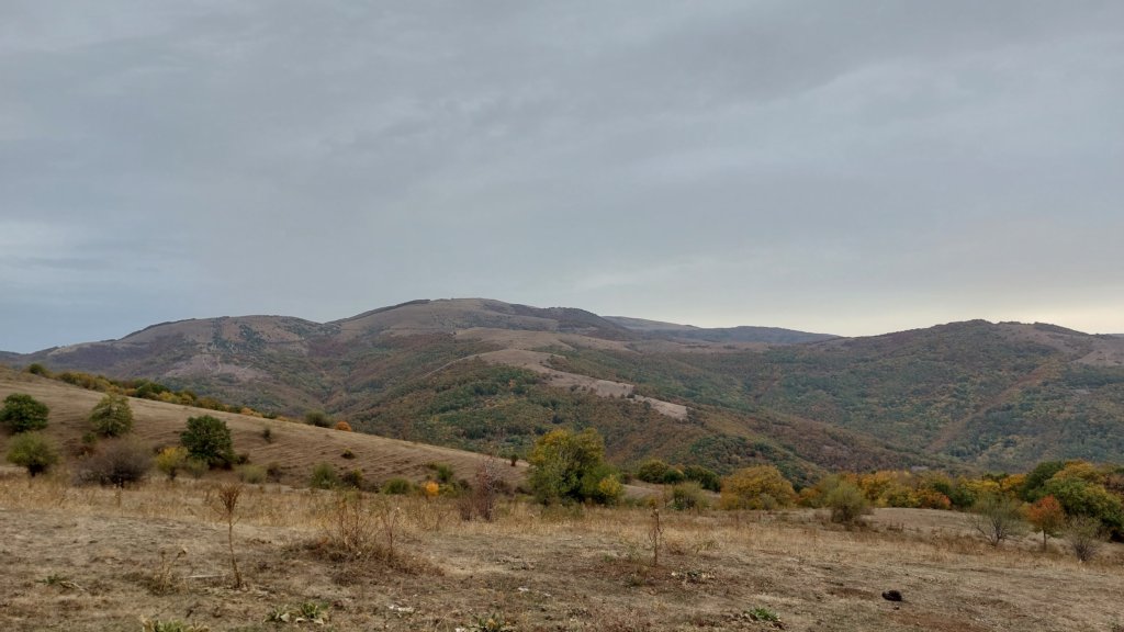 photo18.jpg