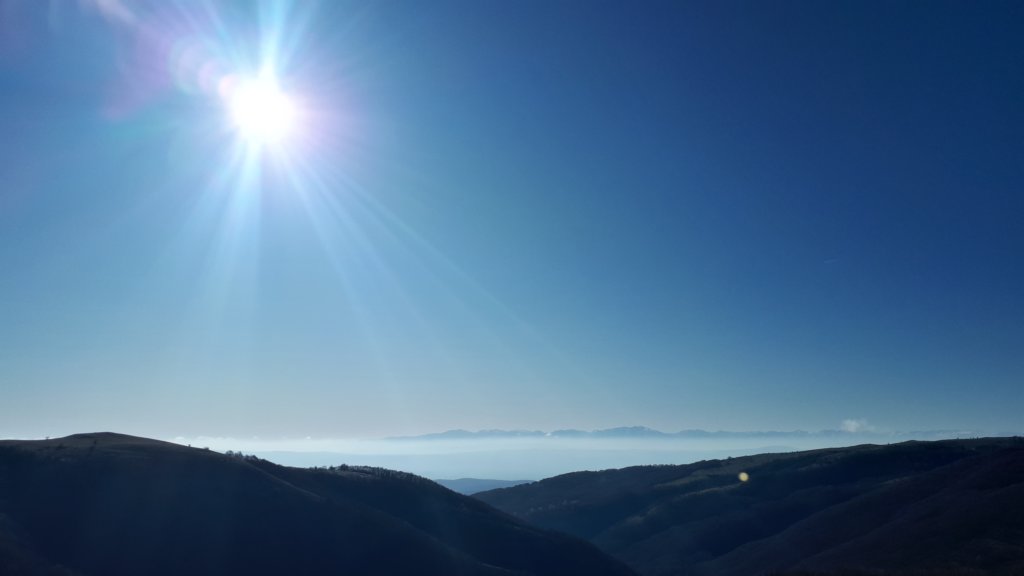 photo10.jpg